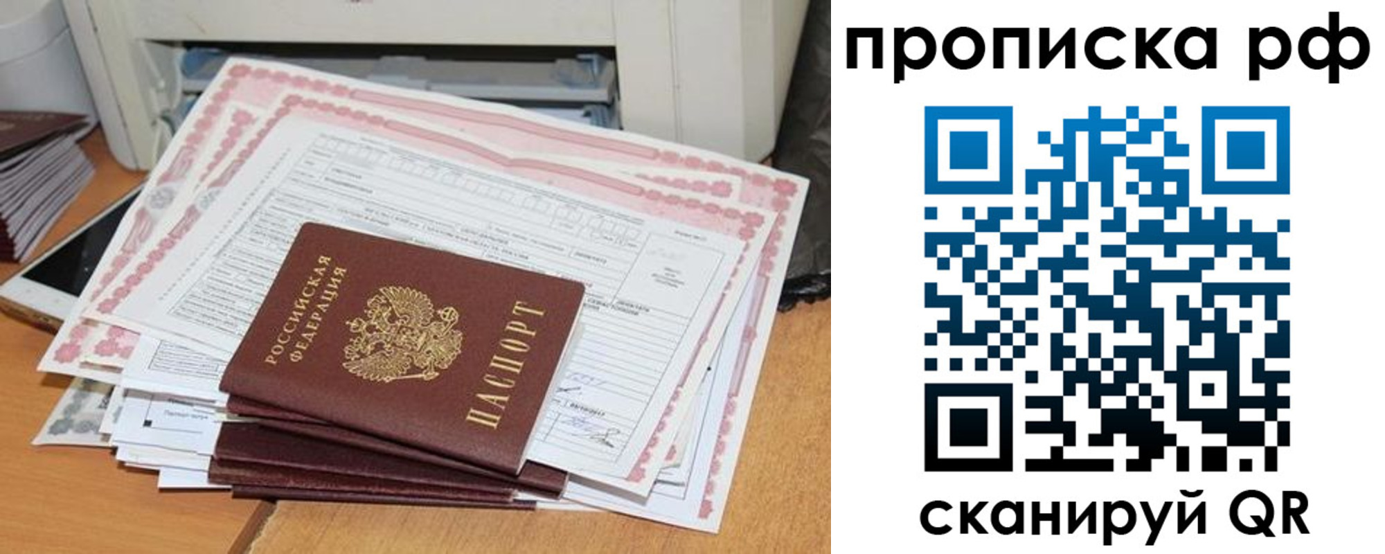 прописка гарантия в Раменском